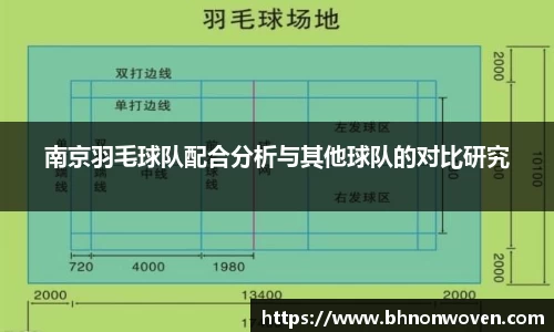 南京羽毛球队配合分析与其他球队的对比研究